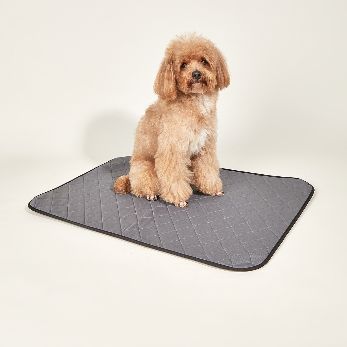 Notre usine fournit une variété de lignes chien urine coussin animal de compagnie canapé coussin coussin de voiture étanche tampon d'urine