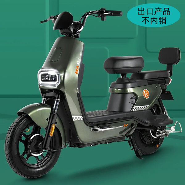 electric electric car for adults