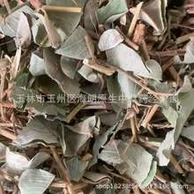 中药材金钱草中药材广金钱草片大叶金钱草片落地金钱铜钱草马蹄香