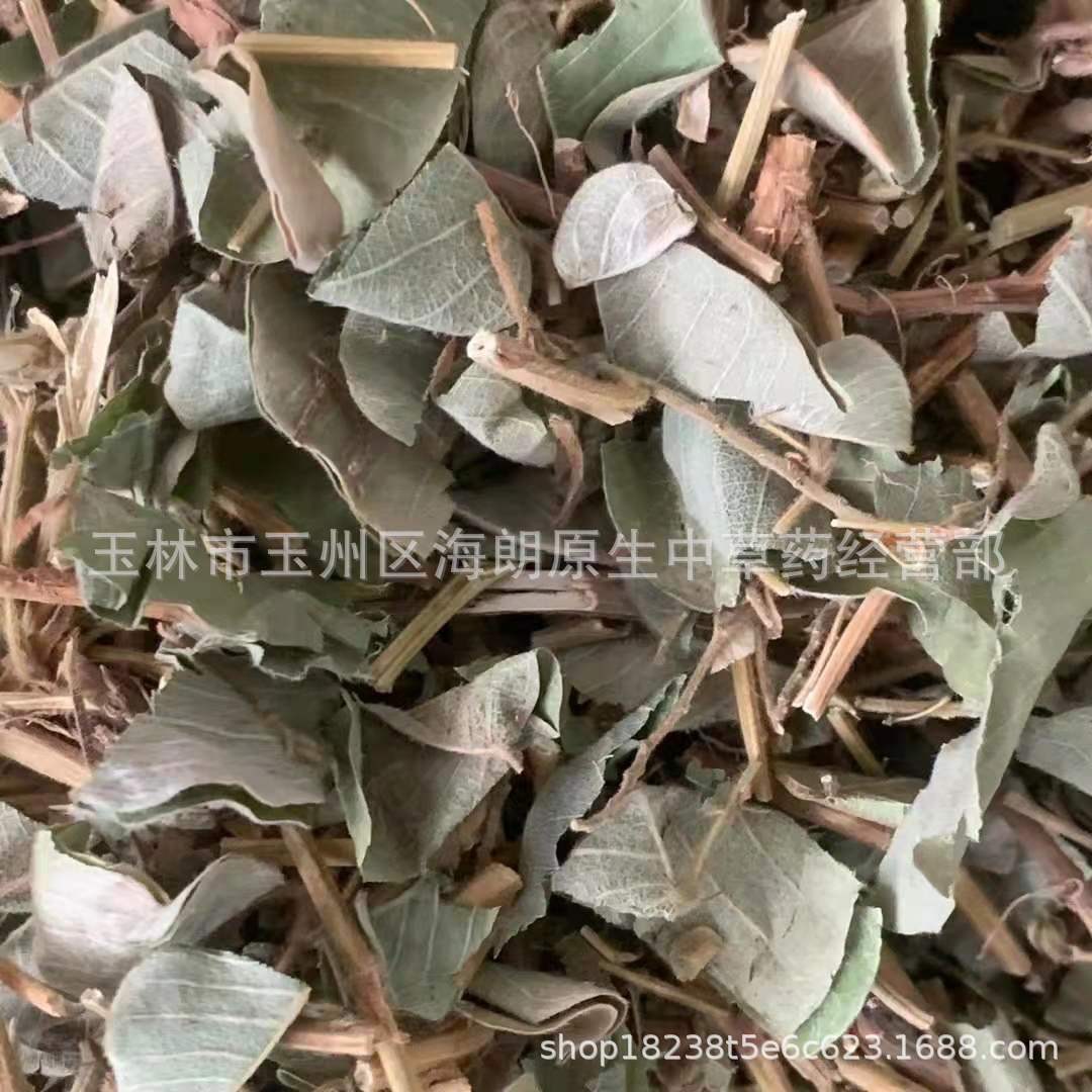中药材金钱草中药材广金钱草片大叶金钱草片落地金钱铜钱草马蹄香