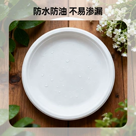 一次性餐盒;一次性碗碟;可降解餐具