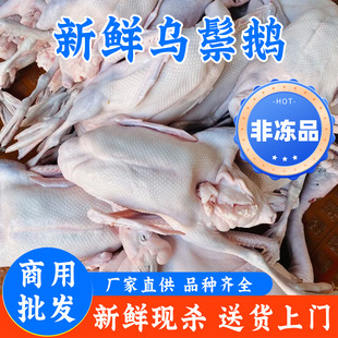 �V�|���h�����Z���r�F���Ƶꌣ�ß��D��͏d���Zԭ�������Z���Z