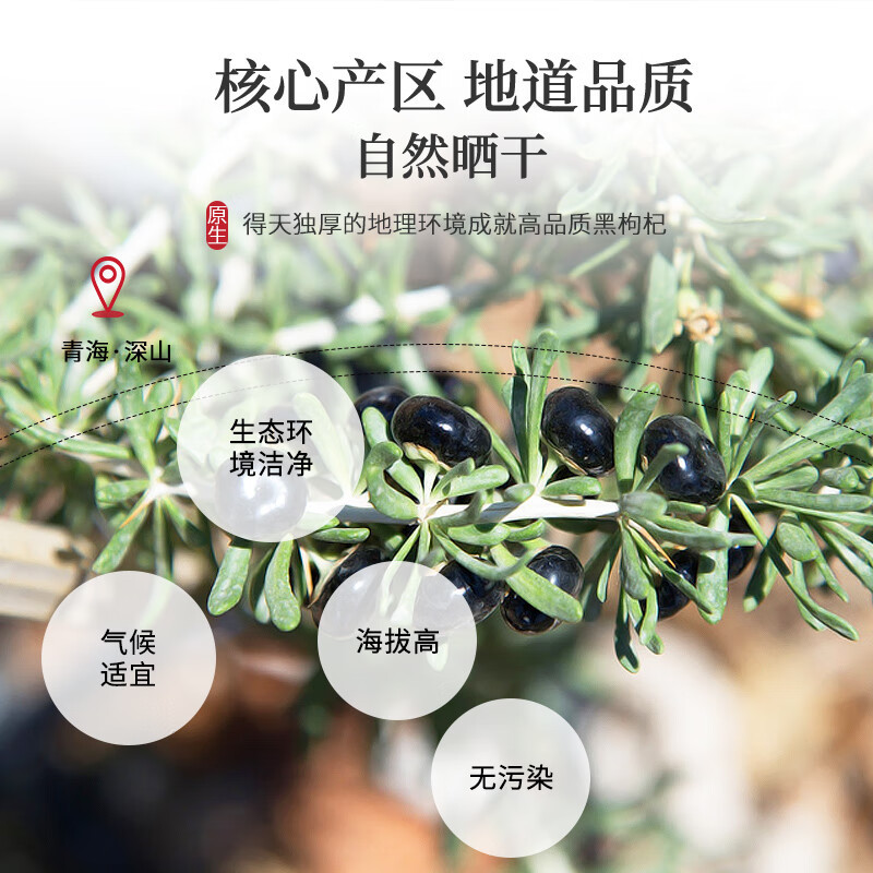 Black Goji Berries Hei Gou Qi 100g Dried Wild Berries for Tea and Daily Wellness overview