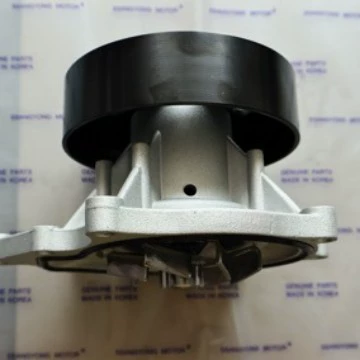 Water pump Ssangyong Water