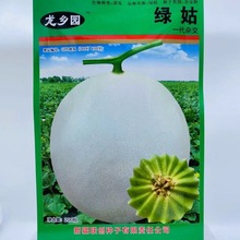 綠姑甜瓜種籽子白皮綠肉超甜香玉菇哈密瓜種孑正四季易種蔬菜種子
