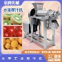 商用挤压破碎螺旋压榨机