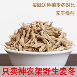 神农架野生麦冬干货500g无硫晒干搭新鲜麦冬玉竹沙参中药材50g