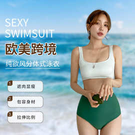 韩版简约新款小清新分体式撞色高腰性感显瘦小胸聚拢温泉游泳衣女