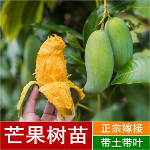 �޽�â����������â�����ļ���â������V���l؛�������~������