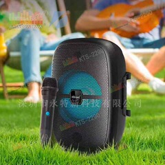 KTS 工場卸売 KTS シリーズ KTS-2190 屋外ポータブル 8inch ワイヤレスマイク Bluetooth スピーカー