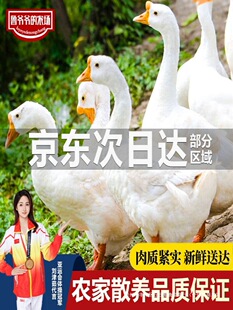 ������Z�r��ɢ�B���Z���r���Z�F�����Z������Z�חl�Z���ZҊ���b