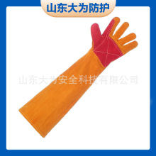 늺����׼��L60cm�͸ߜ��p�Ӹ�����C���𾀺���������ĥ�ڱ�����