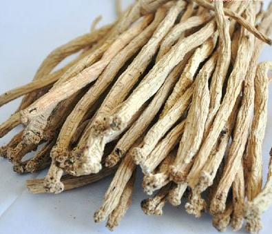 959b3e73dc0edcbd1c551ce1f2f541