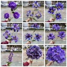 2026���¿�����ɫ��c���滨���l �\��ѩ���Y·��ܛ�b�bٻ�