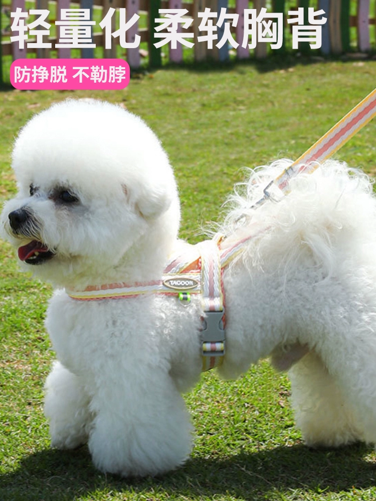 Поводок для собак интернет-знаменитостей, поводок для собак маленького и среднего размера, жилет в стиле бишон, поводок для собак Тедди, сиба-ину, дышащая шлейка для домашних животных