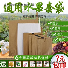 水果套袋枇杷套袋芒果套袋梨套袋桃子套袋柑橘套袋苹果袋柚子柠檬