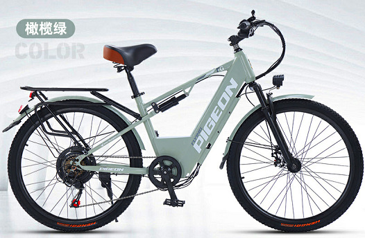 Flying Dove nueva batería de litio estándar nacional bicicletas eléctricas transfronterizas exportación bicicleta eléctrica de montaña viaje diario