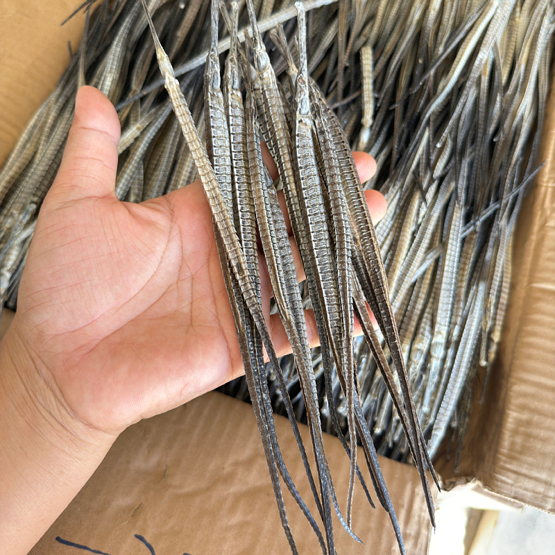 海龙批发 淡干小号六角海龙 小海龙 海产干货泡酒煲汤 500克