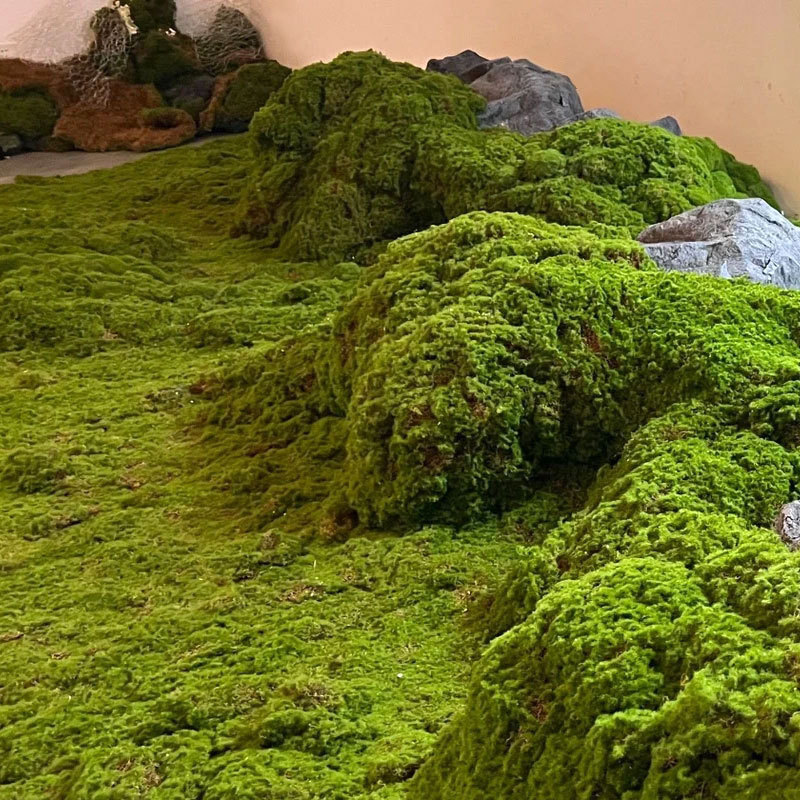 Simulated Moss Landscaping Bionic Turf Fake Moss Micro Landscape Layout Lawn Bonsai Potted Paving Landscaping Decoration Simulated Moss Landscaping Bionic Turf Fake Moss Micro Landscape Layout Lawn Bonsai Potted Paving Landscaping Decoration