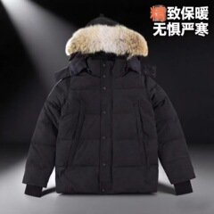 Big goose downjacket wyndham大鹅羽绒服29款冬季男3808M温德姆