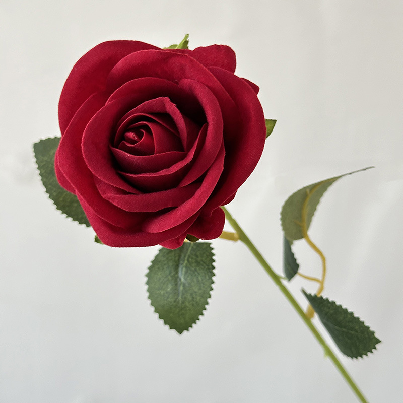 진한 빨간색