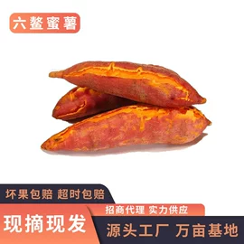 柚;其他水果;番薯类