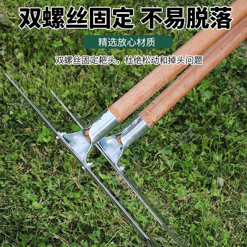 微信图片_20250917104402_81_33.jpg