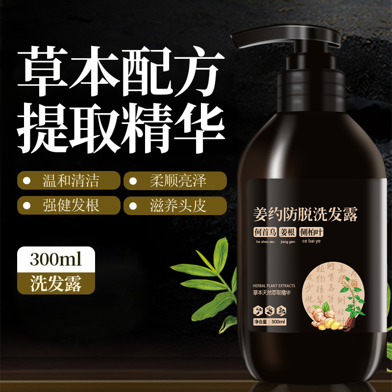 Herbal ginger anti-hair loss shampoo Polygonum multiflorum anti-hair loss oil control scalp care essence shampoo wholesale for men and women
