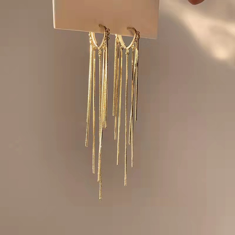 Long brand universal elegant earrings with tassels