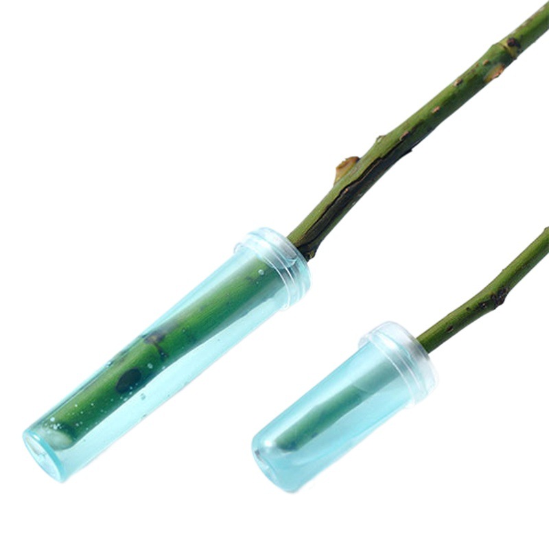 Flor Sombra tubo de almacenamiento de agua tubo de Orquídea almacenamiento de agua flor tubo de cultivo flor tubo de nutrición ramo tubo de preservación tubo de almacenamiento de agua Cultura tubo de almacenamiento de agua
