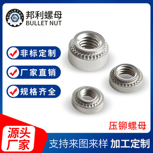 �S�����l̼���\���T��ĸ�ߏ���10B21���T�k���T�Ә�׼SM2.5-M12