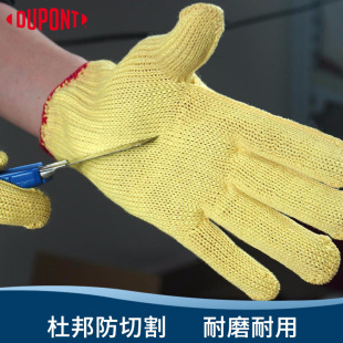 �Ű�Dupont KK-1021���и����ׄP�������|������ڱ����׷�������