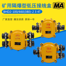 礦用隔爆型低壓電纜接線盒BHD2-100/660(380)-2T/3T/4T煤礦分線盒
