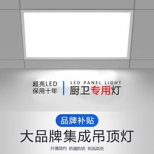 Leishi Integrated Ceiling Led Light for Kitchen, Bathroom, Toilet, Aluminum Gusset Panel, Embedded Ceiling Light 300X600