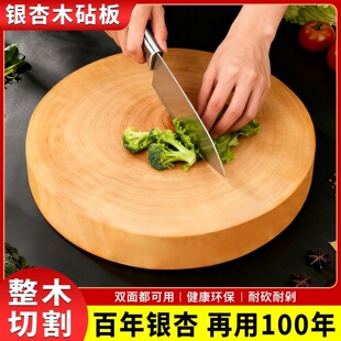 �����y��ľ�˰���ľ�иľ������ù���N���Ӻ��в˰尸��