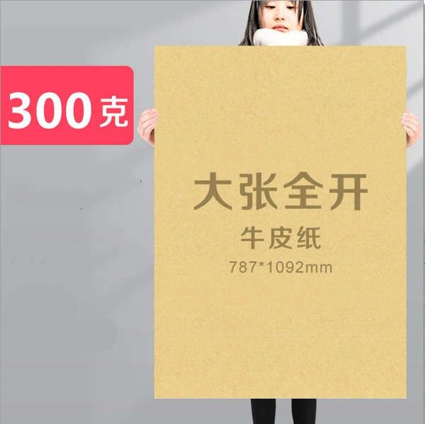 Kraft paper [787*1092] 300g