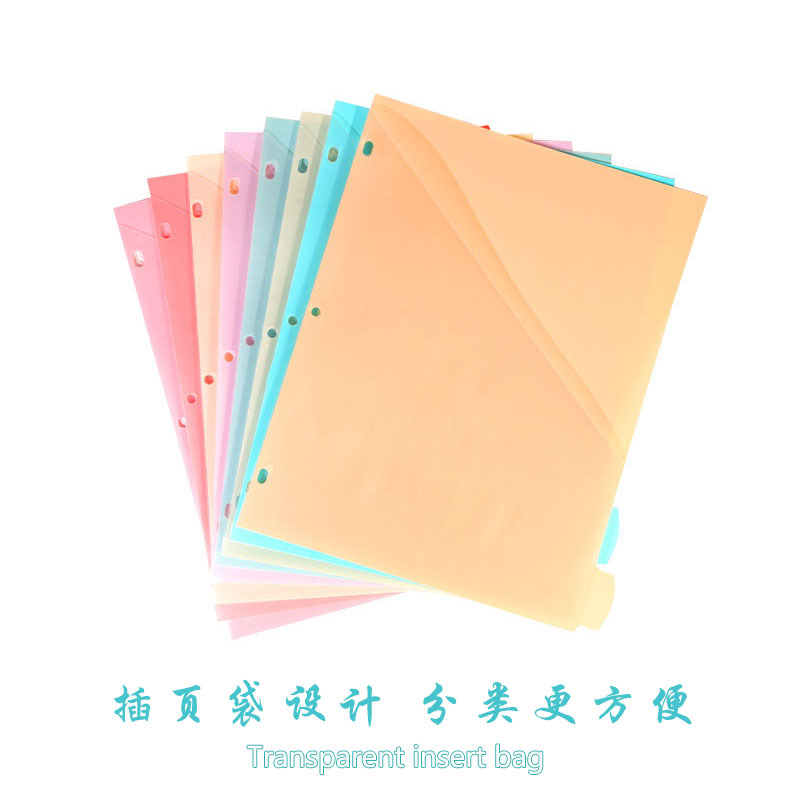 Carpeta de Archivos A4 con Botón a Presión, Transparente e Impermeable, con Separadores, para Documentos de Oficina, Venta al Por Mayor