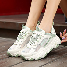 2025¿ŮЬܛ\ЬW͸ϵЬeŮЬ