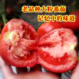 ���ѷN�� �r��ˈ@���������ɳ�|�ۼt�A�δ����t���߲��ѝ�ˮ