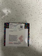 ِĬwPierce 10 mLĘOUx|VxУ׼Һ 88325