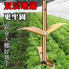������p�ӵ��^���͉�Ĥ�����ؘ��A������U�̶�����ᔹ��䉺֦