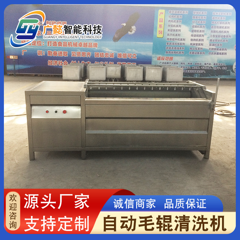 不锈钢根茎类去皮清洗设备 毛辊红薯去皮清洗机 大姜去皮机设备
