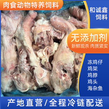 狐狸貂特养饲料喂食动物饲料冷冻鸡架带脖鳄鱼类肉食动物饲料