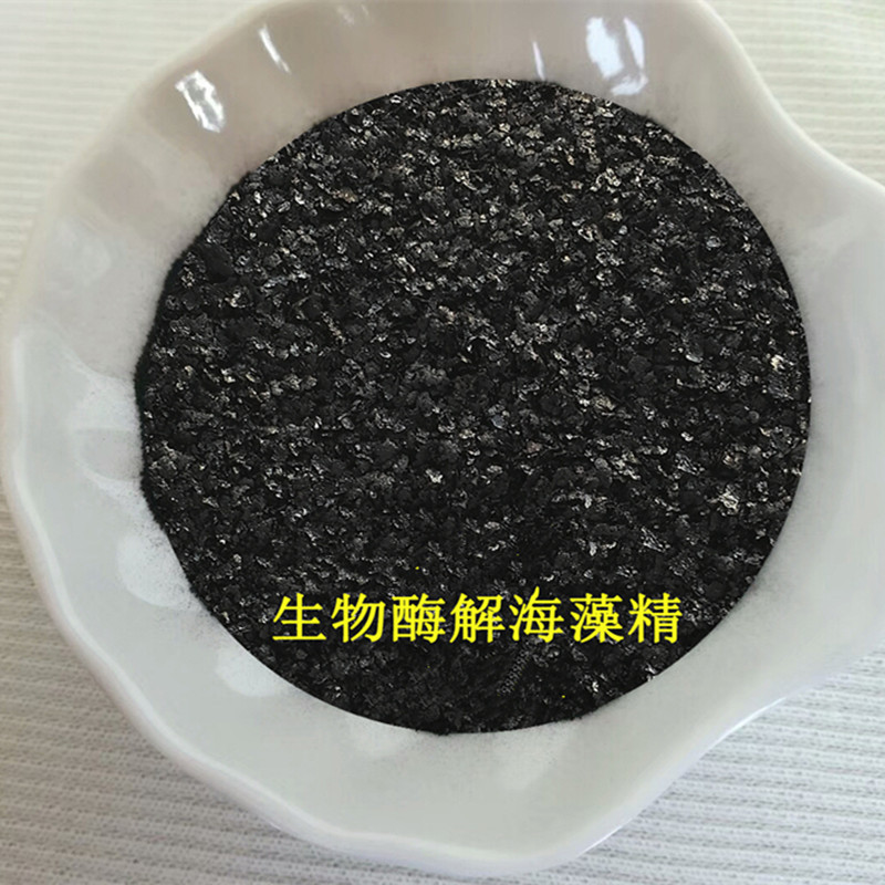 供应海藻提取物海藻素 提高水果品质有机海藻肥海藻精