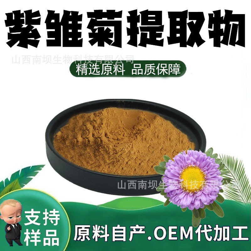 紫雏菊提取物粉末10:1食品级原料水溶性粉植物萃取药食同源定制