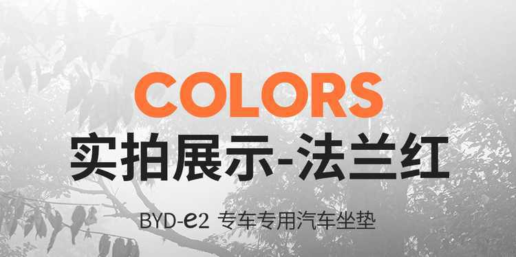 2025 BYD e2 New Energy Electric Vehicle Cushion All Seasons Universal Full Surrounding Leather Seat Cover