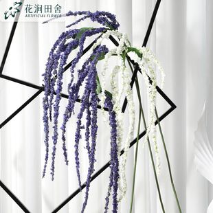 ���滨���˜I���u�ڵ��m�҃ȼҾ�ܛ�b���̔zӰ�b��ďS�����l
