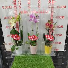 VݻֱNmYb﹝ͶY_lƱ҃