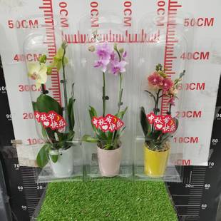 �V�ݻ���ֱ�N�����m�Y���b���﹝�ͶY������_�lƱ�҃�������
