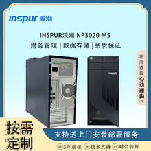 适用浪潮（INSPUR）NP3020M5塔式服务器电脑台式主机远程邮件